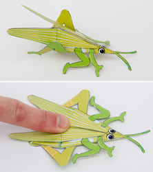 grasshopper