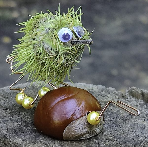 Chestnut Bird