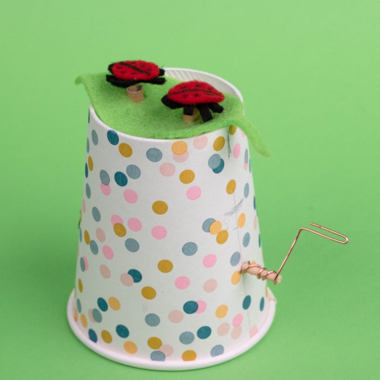 ladybird-1000