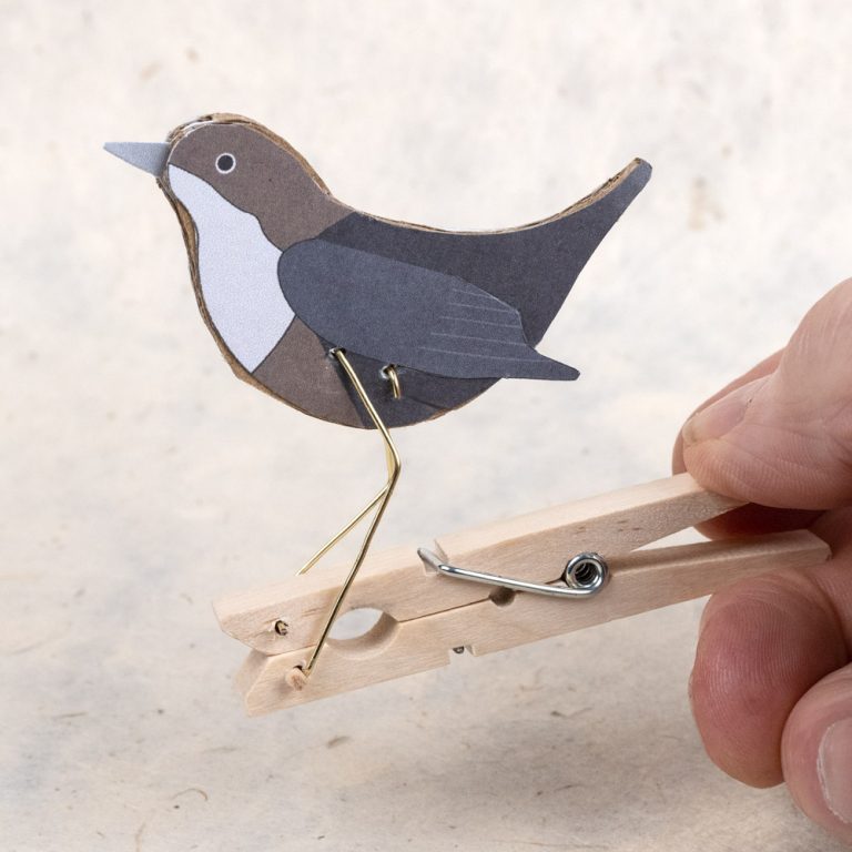 dipper-1000