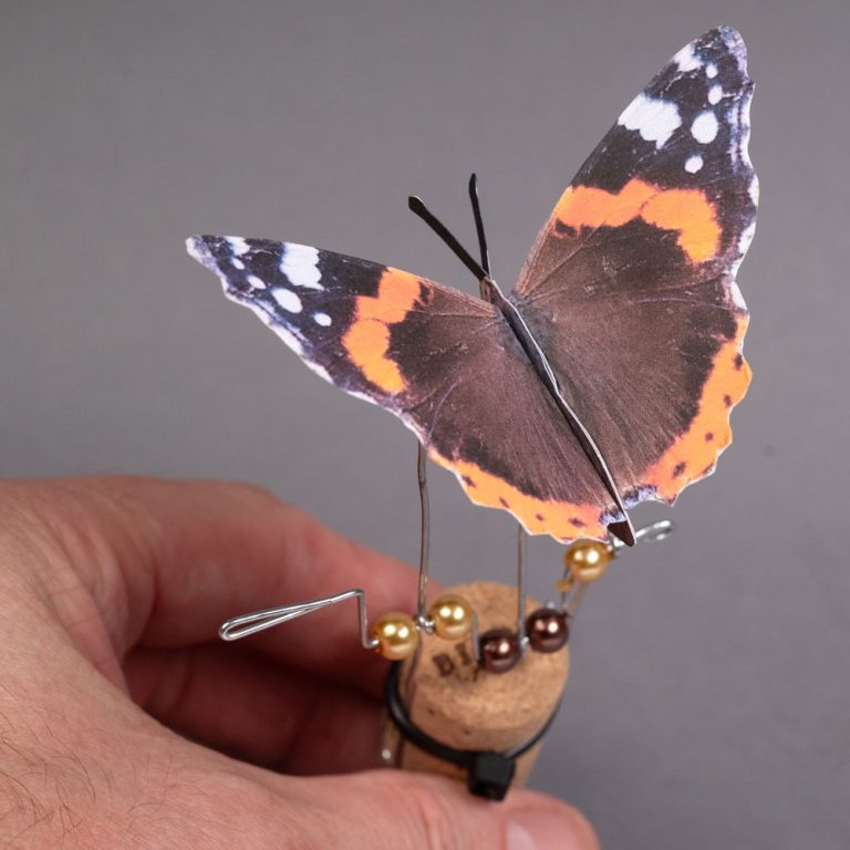 butterfly-1000b