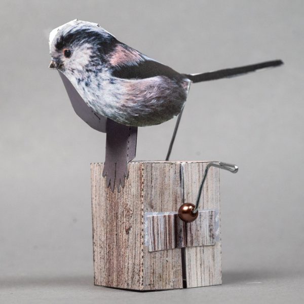 Long Tailed Tit