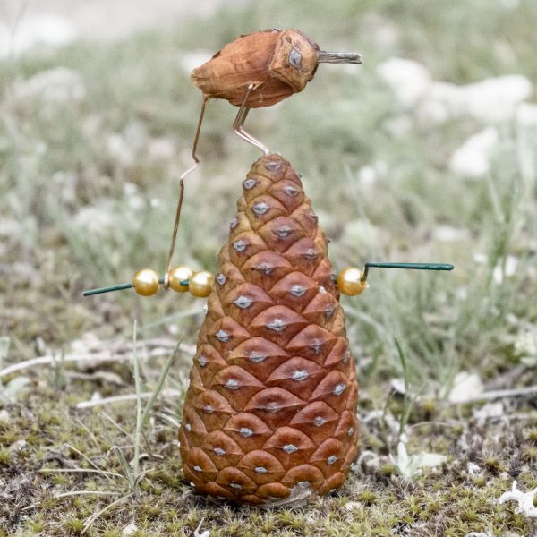 Pine Cone Bird