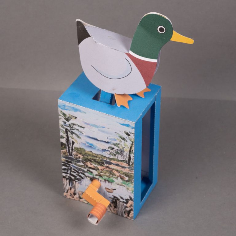 duck-1000