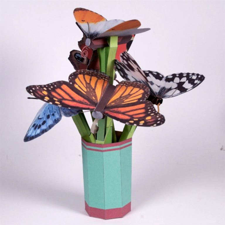 butterfly-1000